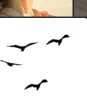 Vögel