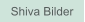 Zu Shiva Bilder