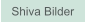 Zu Shiva Bilder