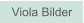 Zu Viola Bilder