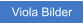 Zu Viola Bilder