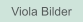 Zu Viola Bilder